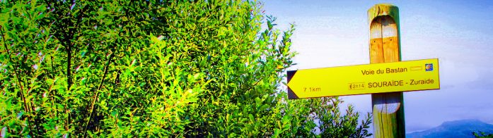 Camino de Baztan